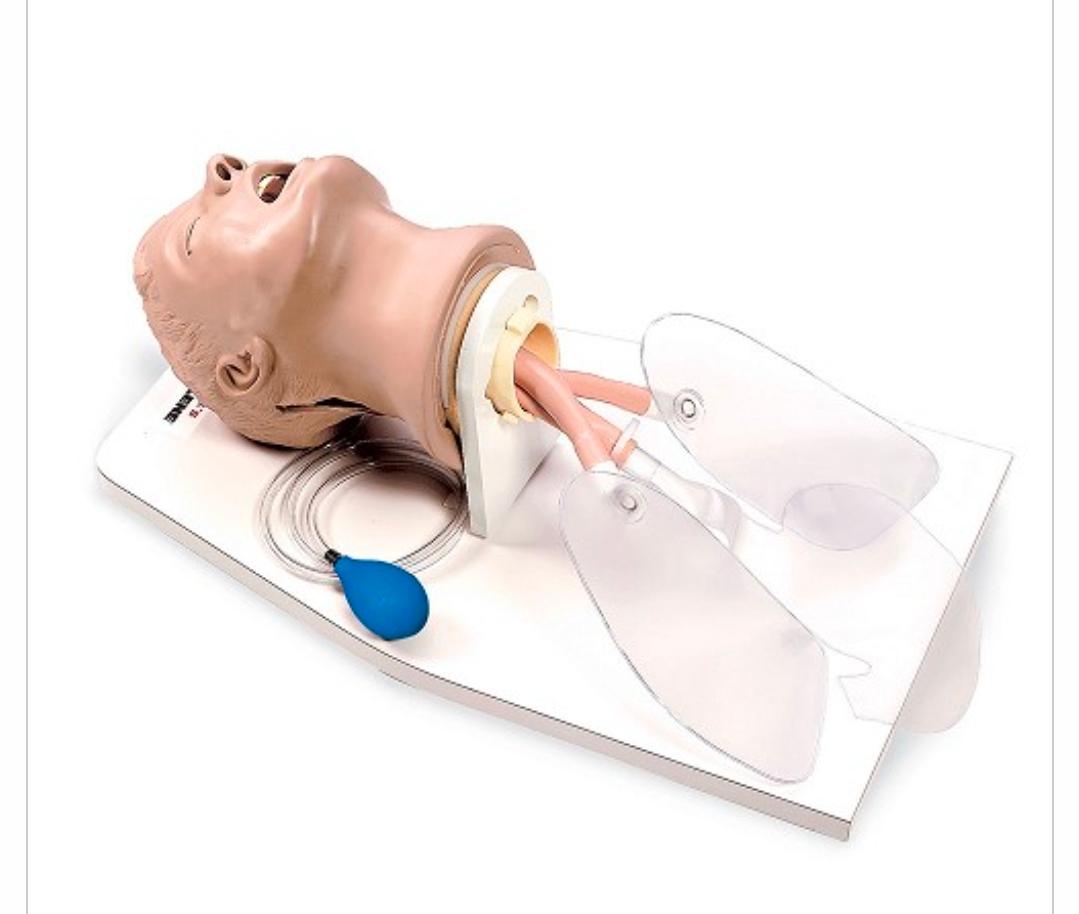Adult intubation head and 2 brand new replacement heads - image 5