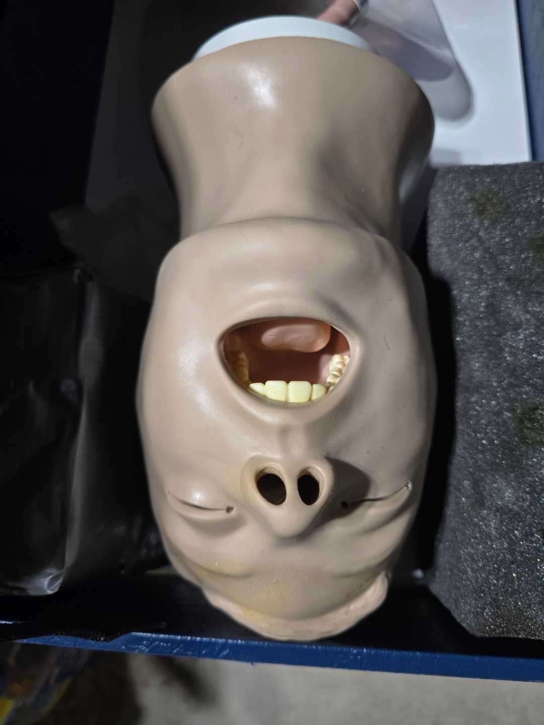 Adult intubation head and 2 brand new replacement heads