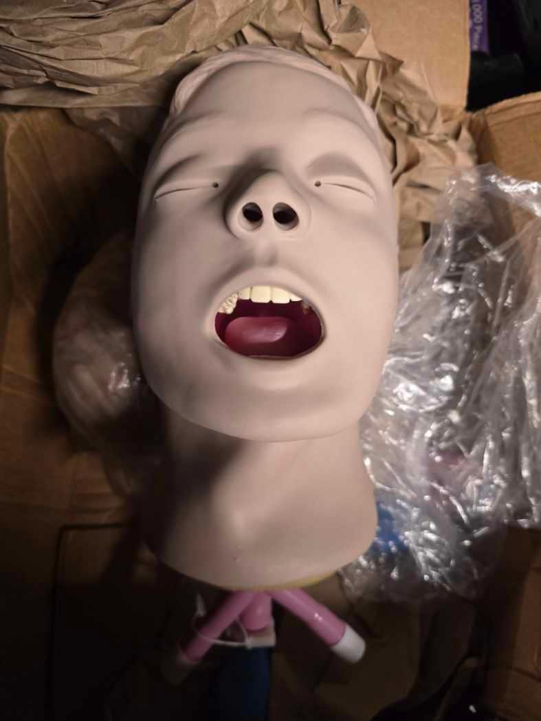 Adult intubation head and 2 brand new replacement heads - image 4