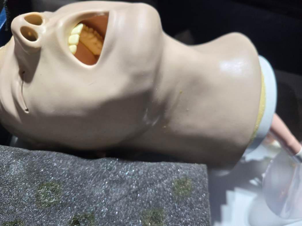 Adult intubation head and 2 brand new replacement heads - image 2