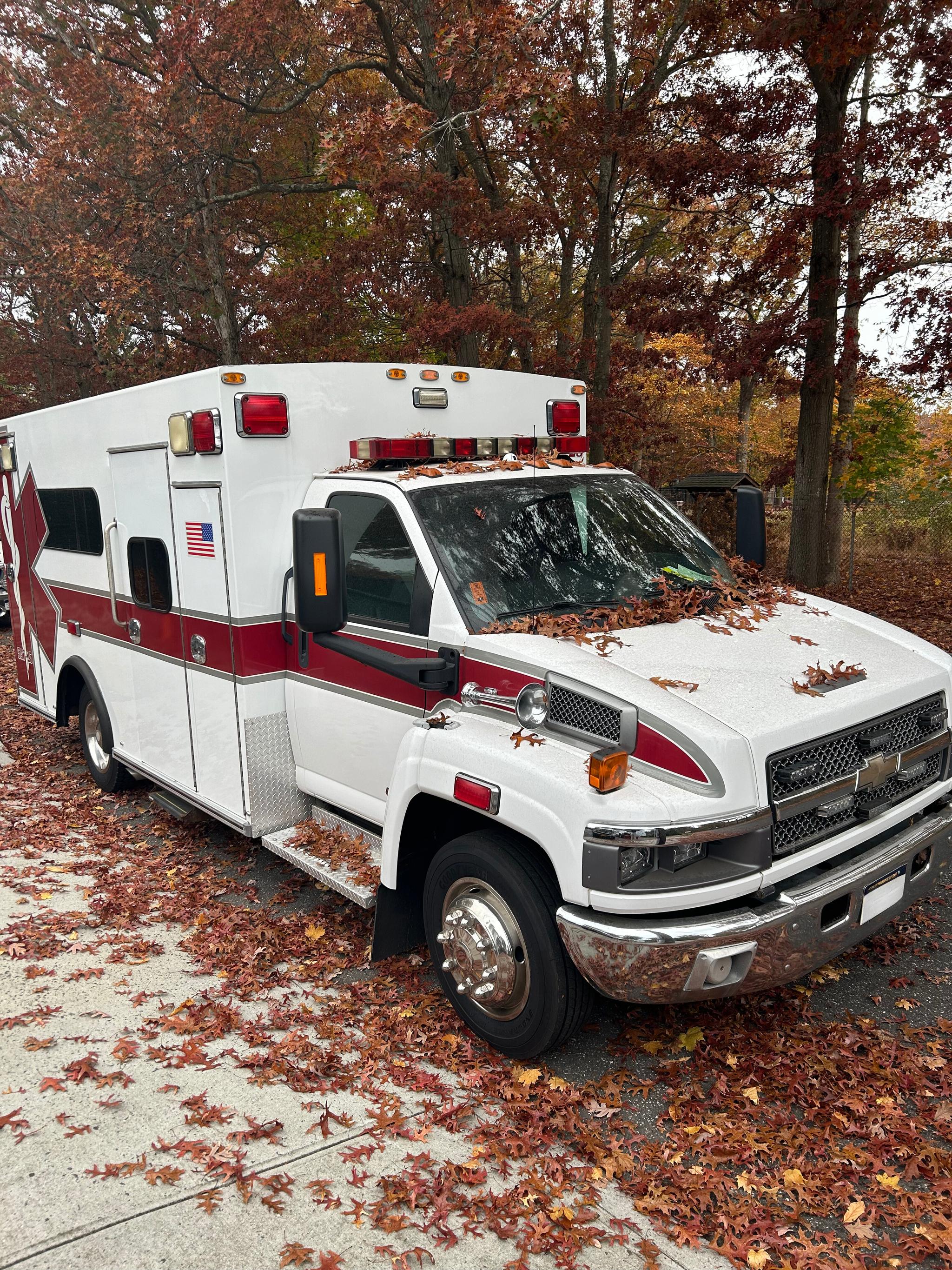 2007 Chevrolet Type I - image 2