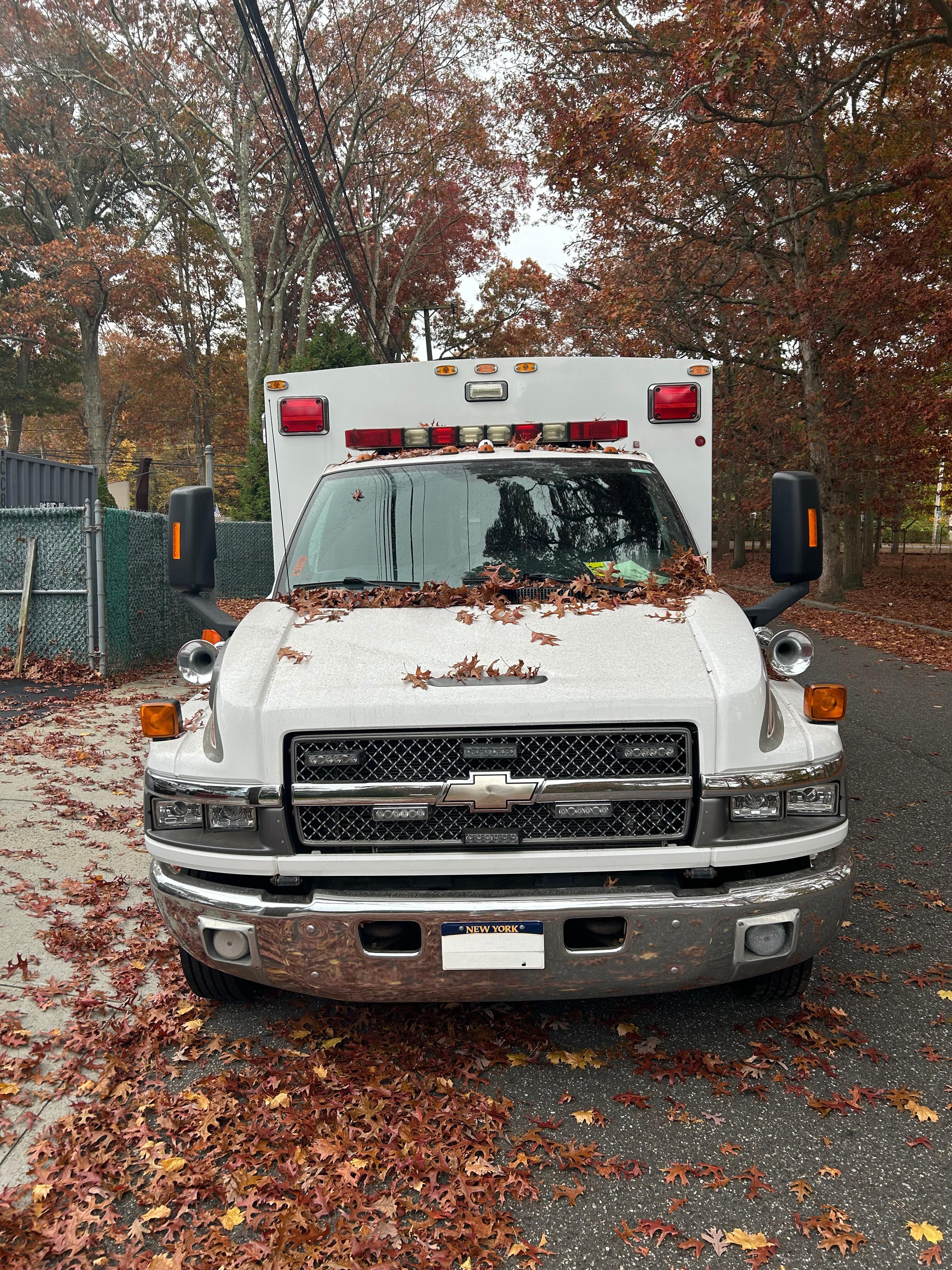 2007 Chevrolet Type I - image 3