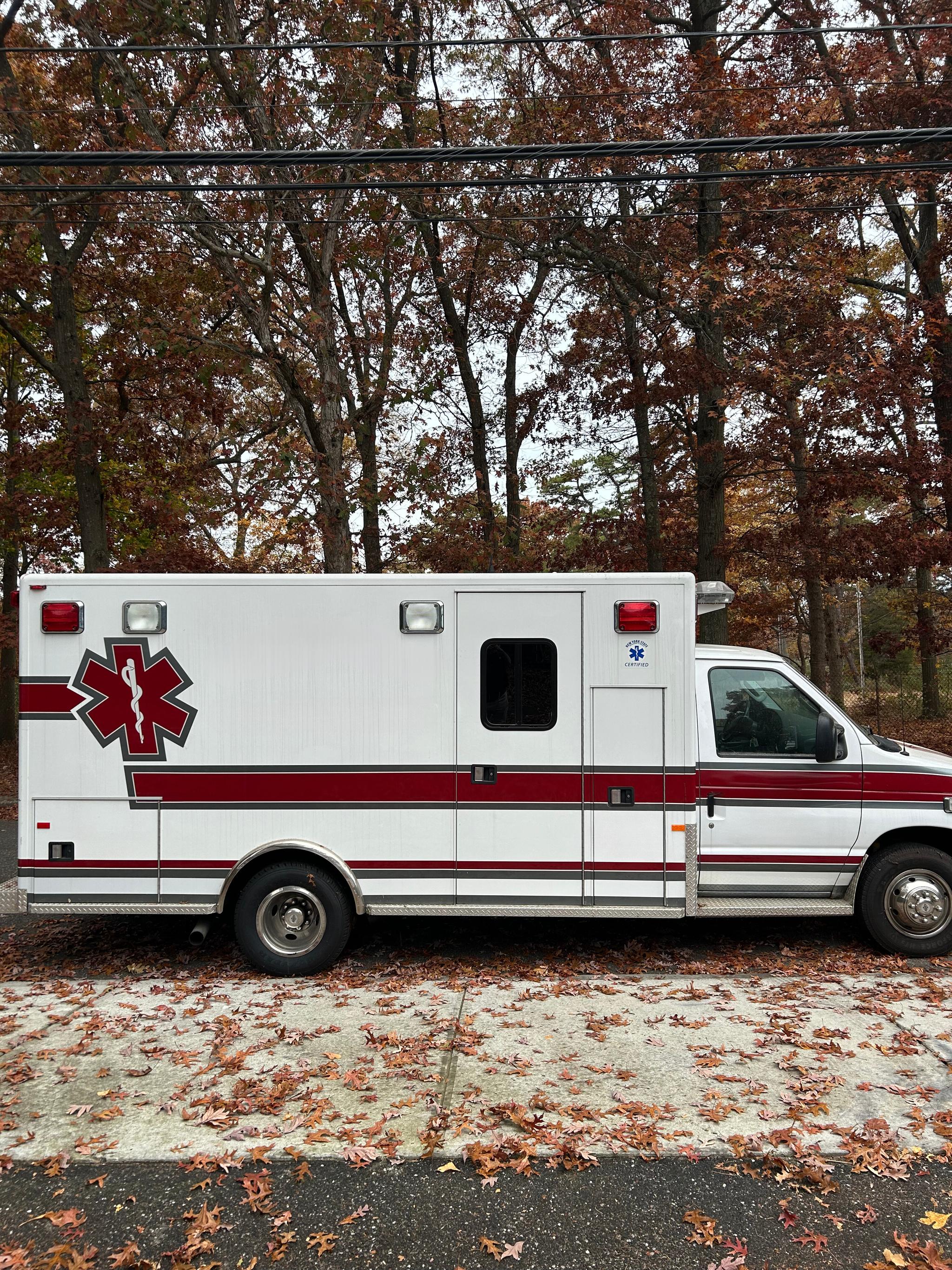 2006 Ford Type III - image 2