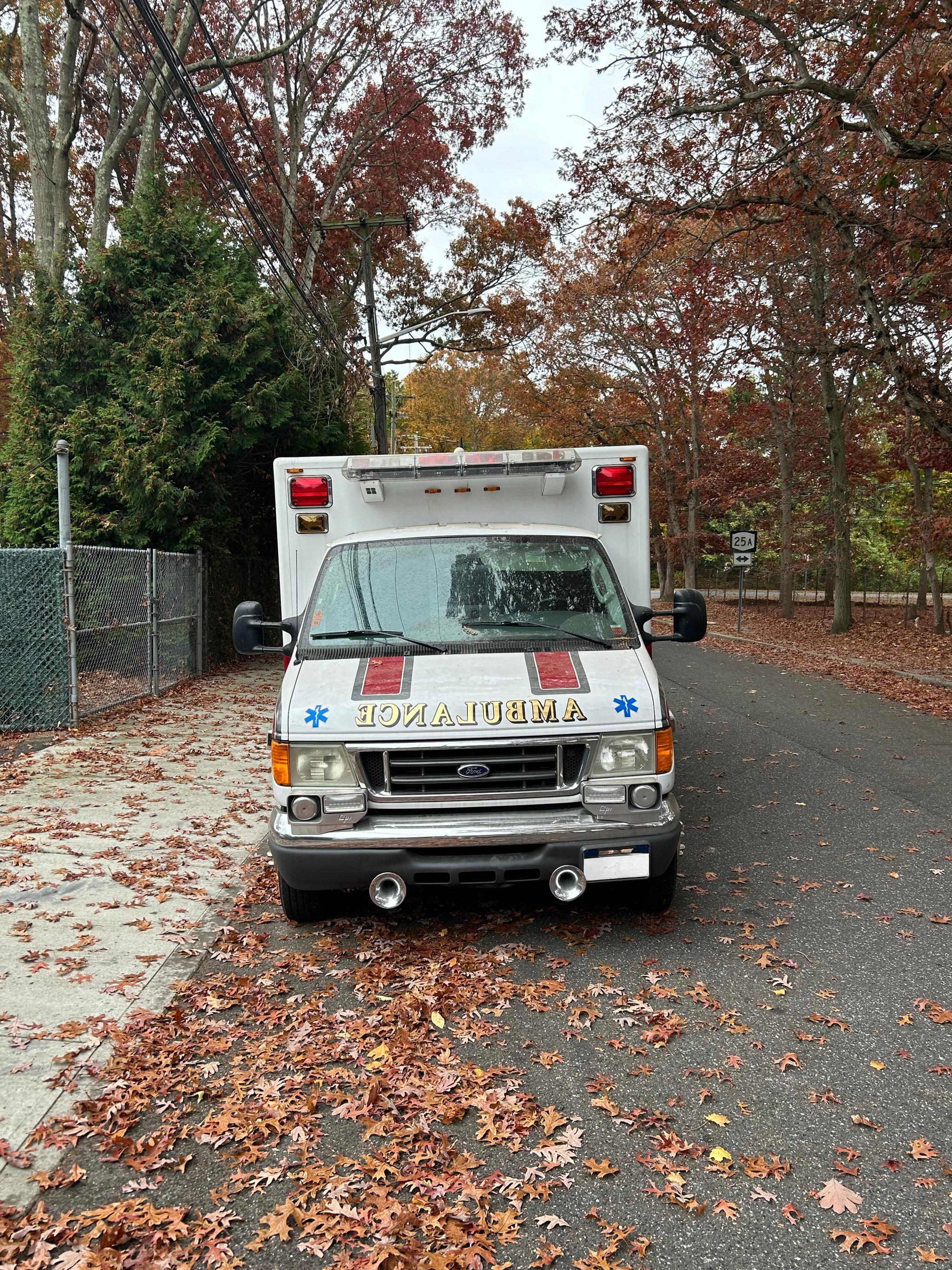 2006 Ford Type III - image 3