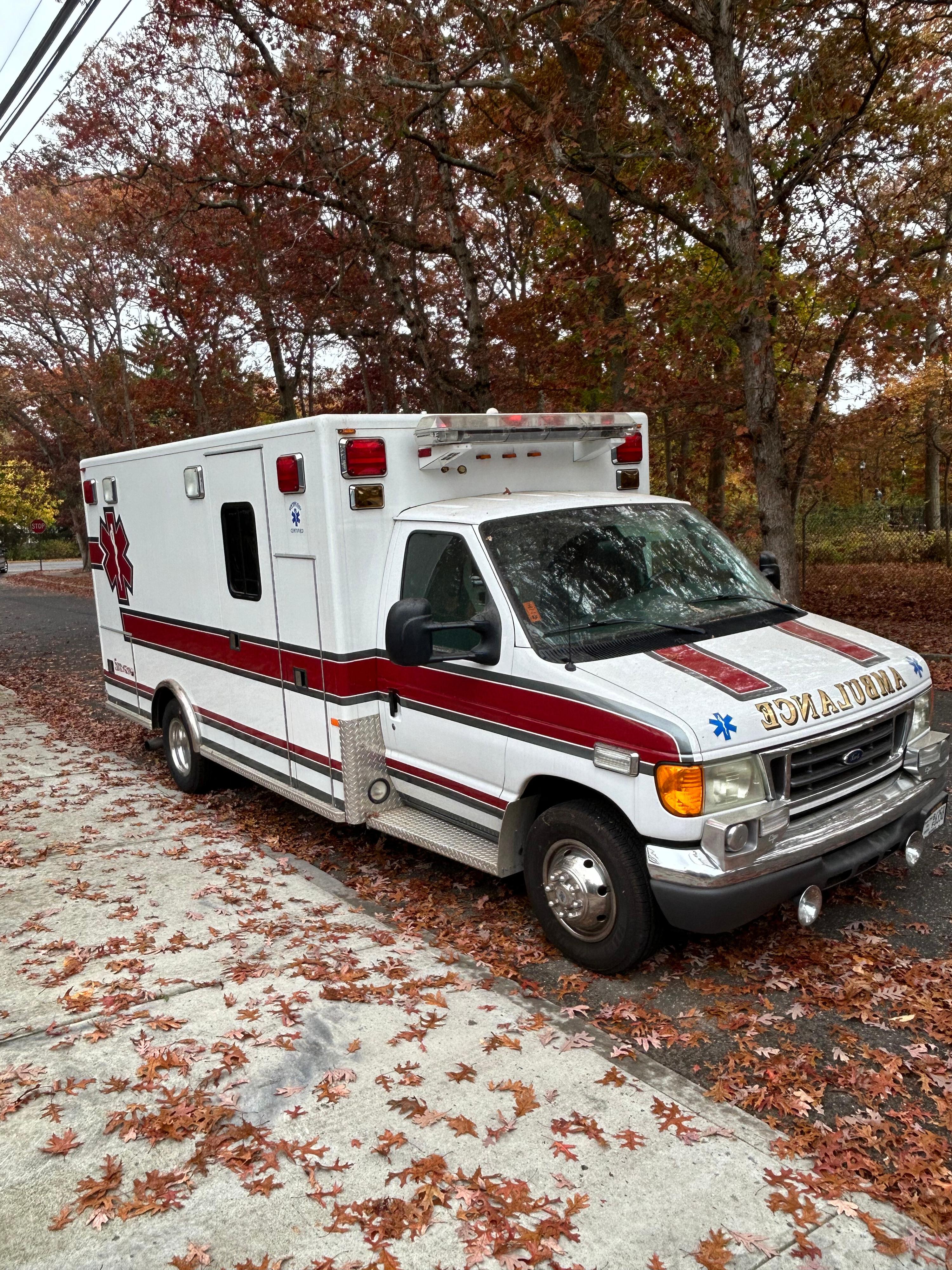 2006 Ford Type III - image 9