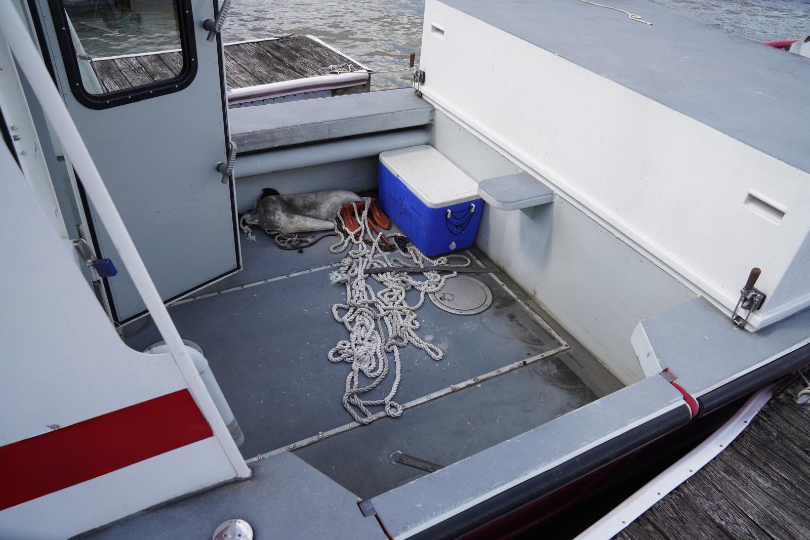 2005 SeaArk Little Giant Fire Boat - image 8