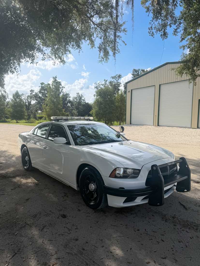 2014 dodge charger pursuit — photo 8