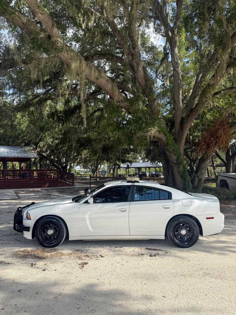 2014 dodge charger pursuit — photo 3