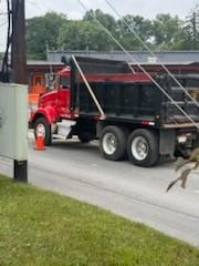 1991 Kenworth T800 Dump Truck - image 13
