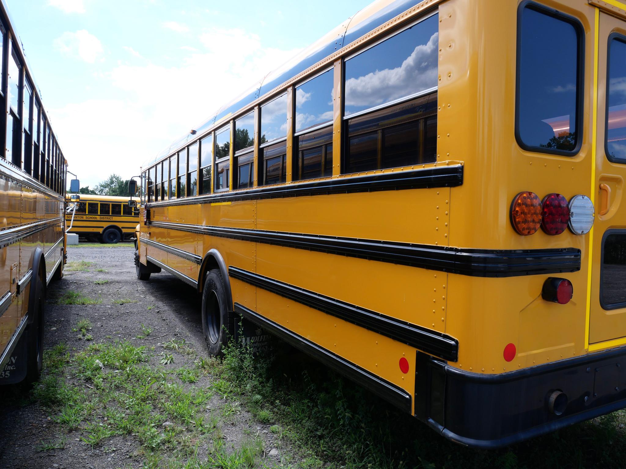 2023 International School Bus - 72 Passenger - Bus #83 - image 4