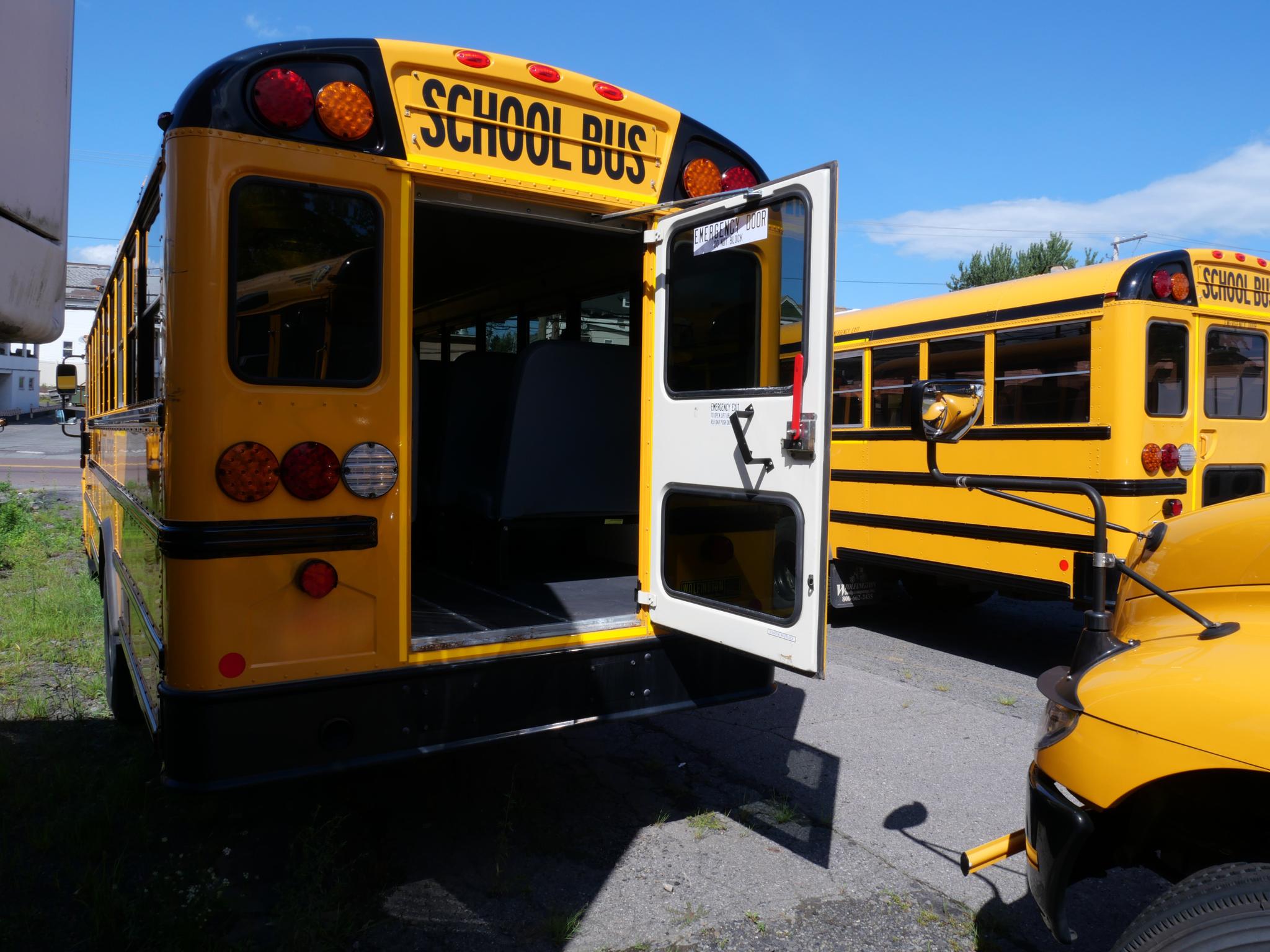 2024 International School Bus - 48 Passenger - Bus #57 - image 3