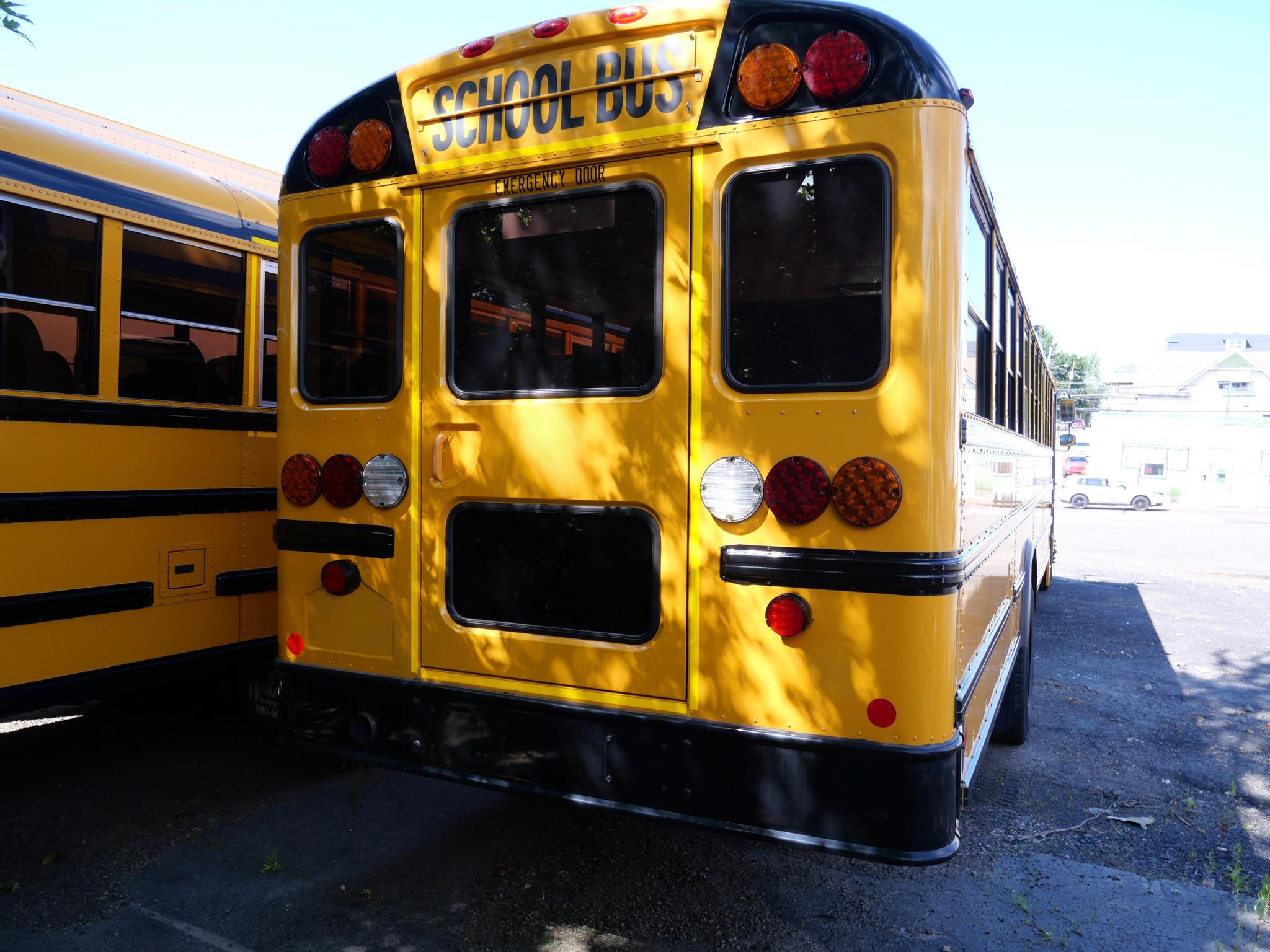2024 International School Bus - 72 Passenger - Bus #73 - image 5