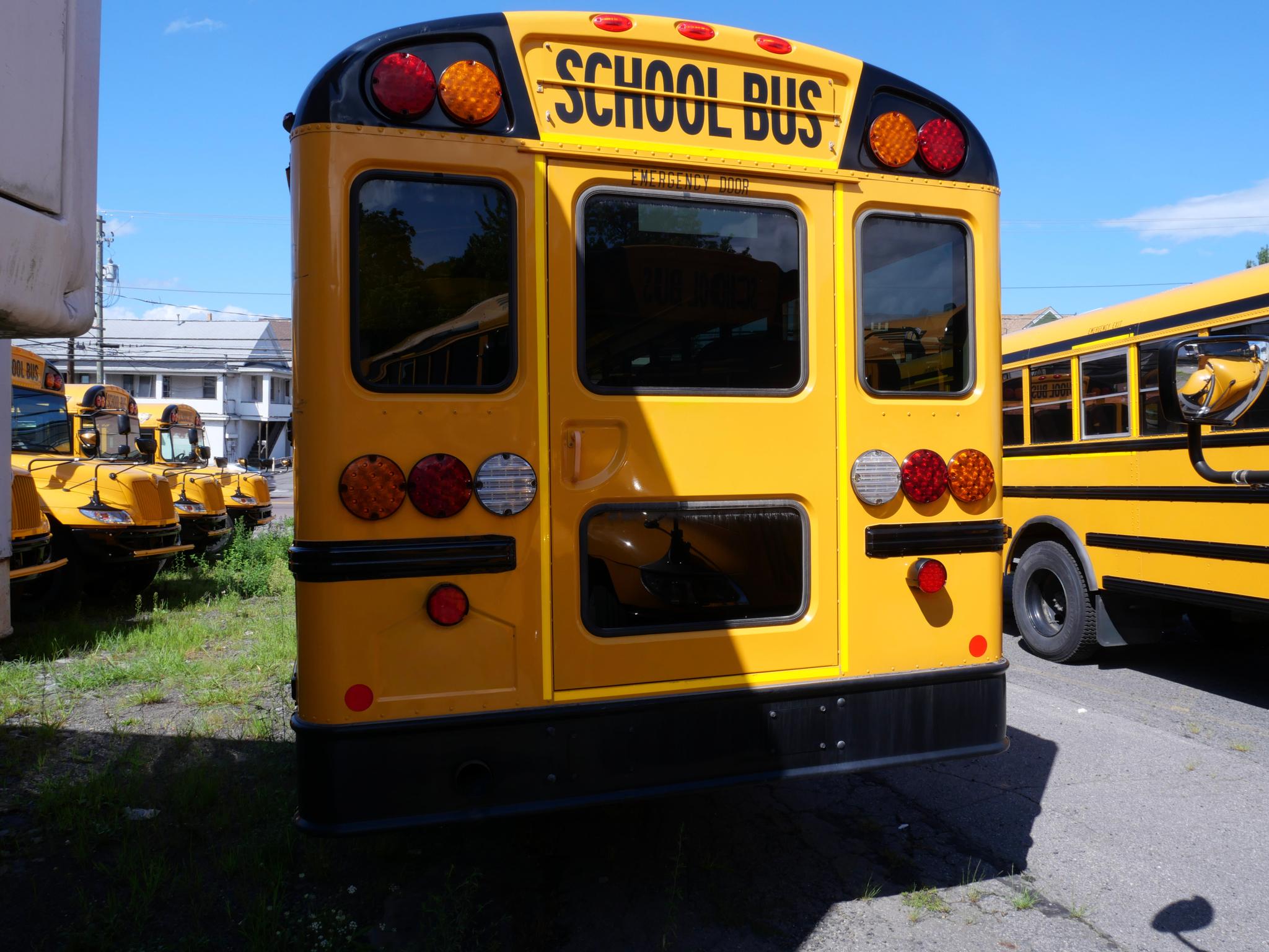 2024 International School Bus - 48 Passenger - Bus #53 - image 4