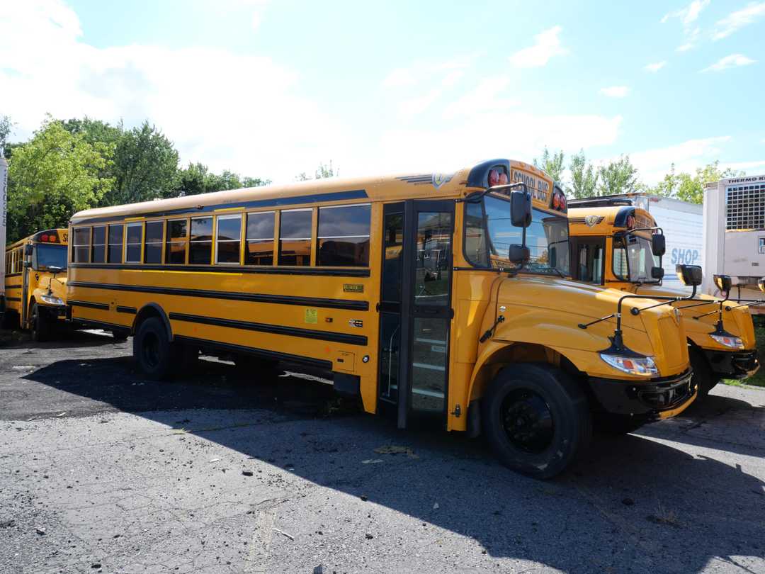 2024 International School Bus - 66 Passenger - Bus #7