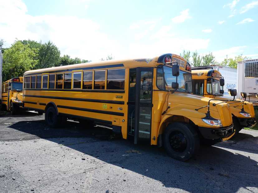 2024 International School Bus - 66 Passenger - Bus #7