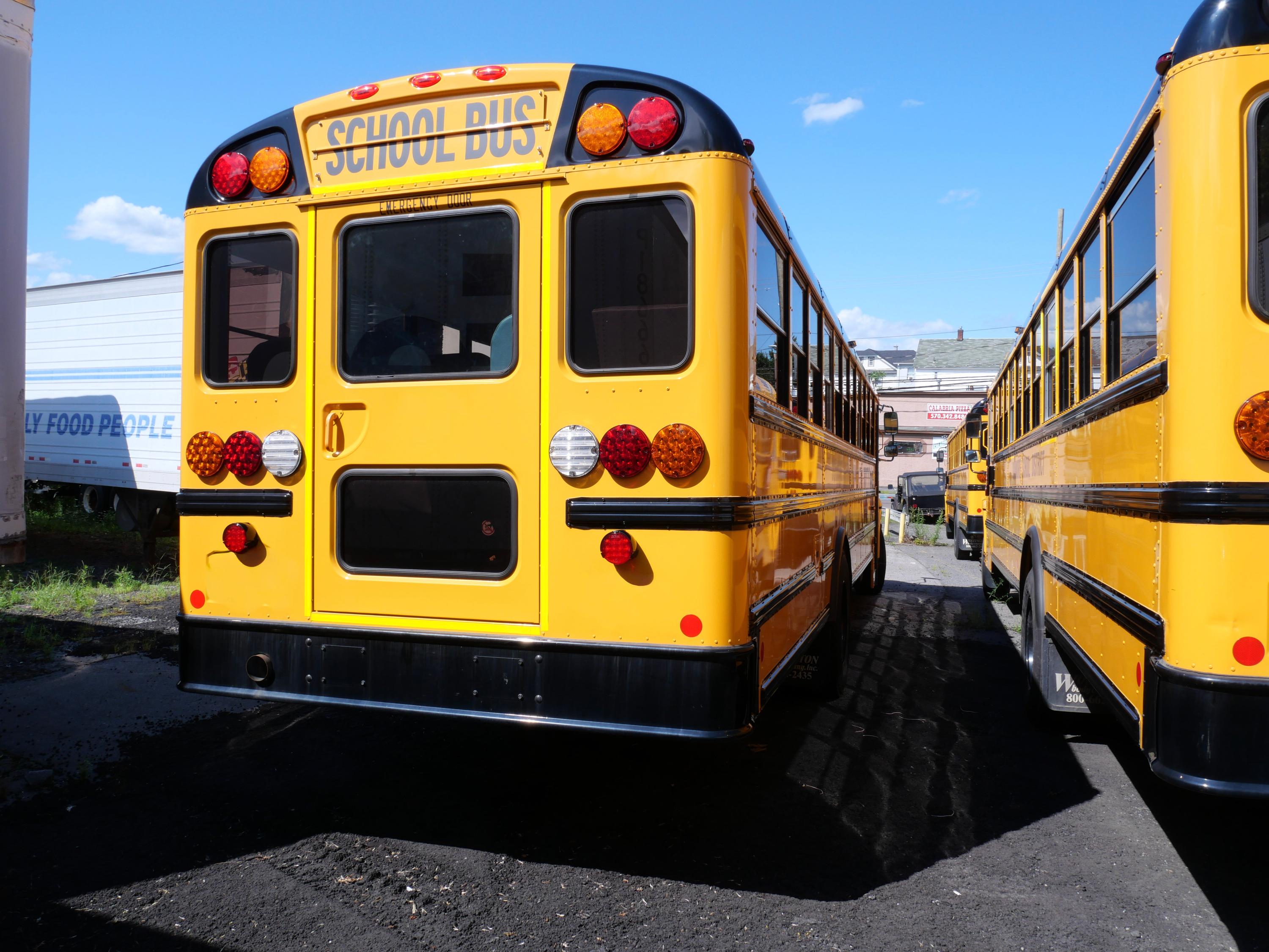 2024 International School Bus - 66 Passengers - Bus #5 - image 4