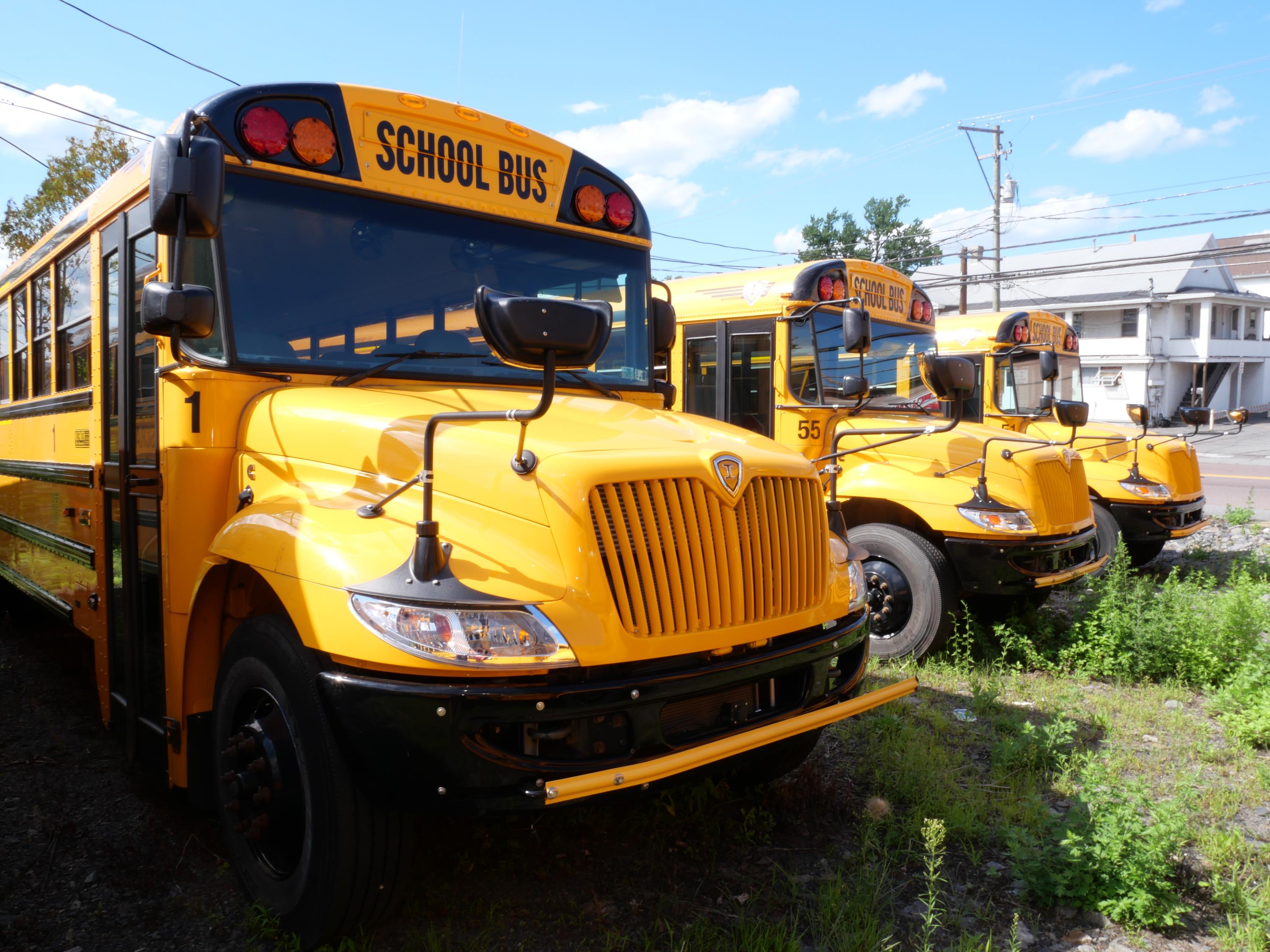 2024 International School Bus - 66 Passenger - Bus #1 - image 2