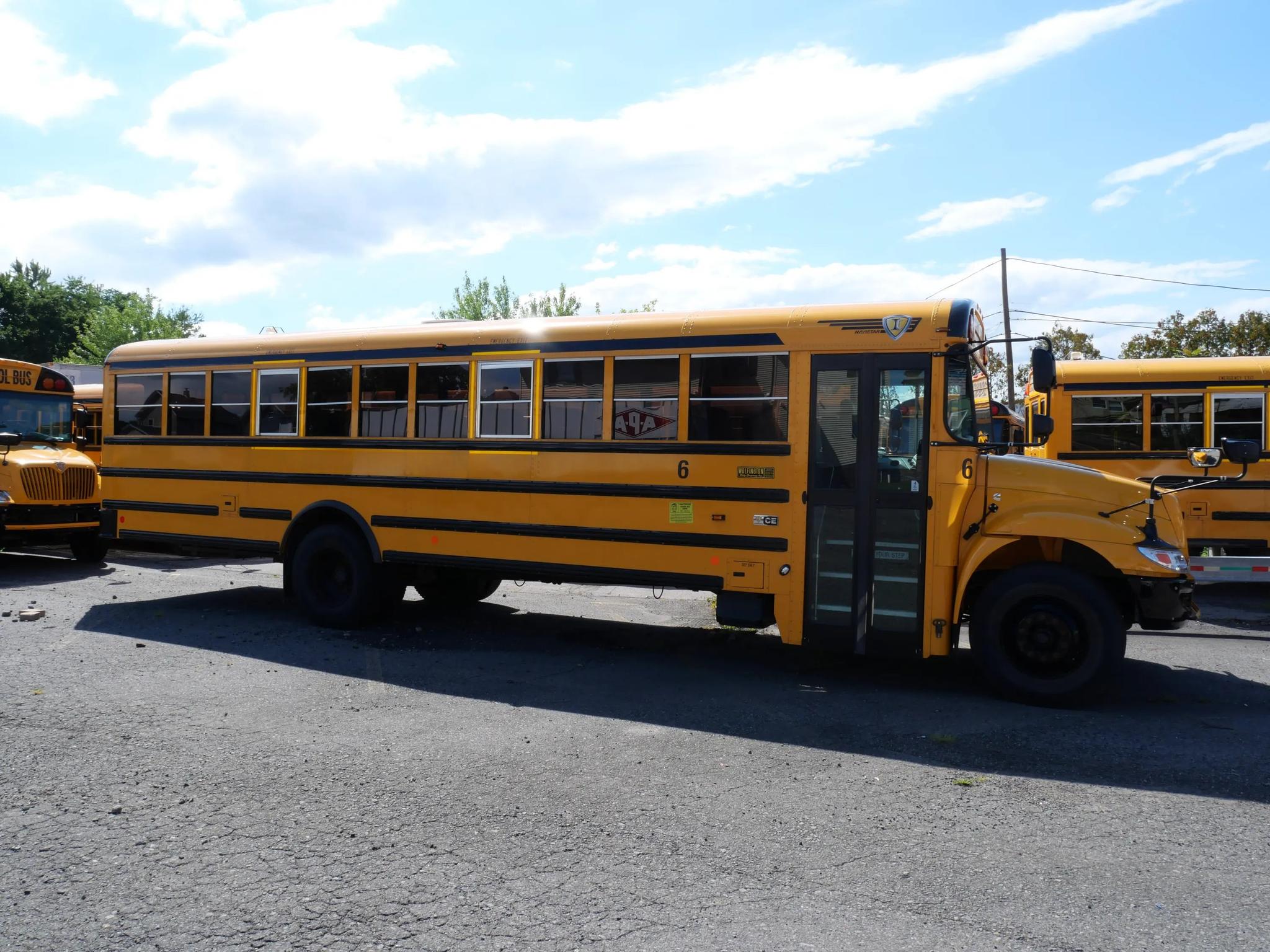 2024 International School Bus - 66 Passenger - Bus #6 - image 3