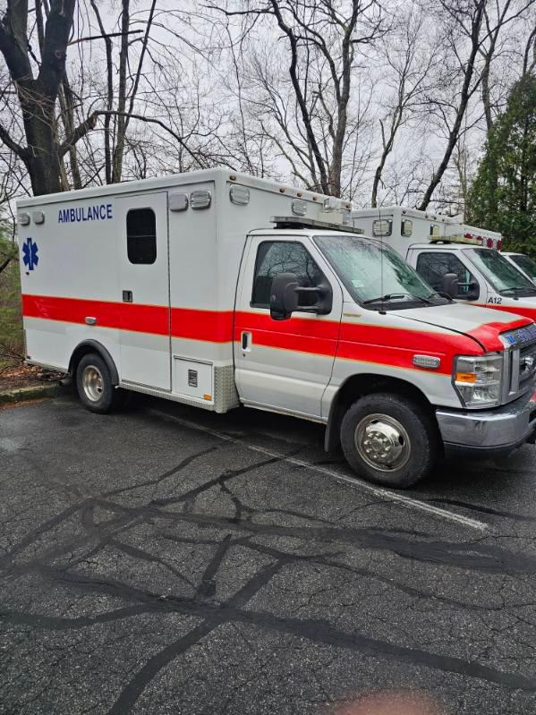 2010 Ford Type III - image 1