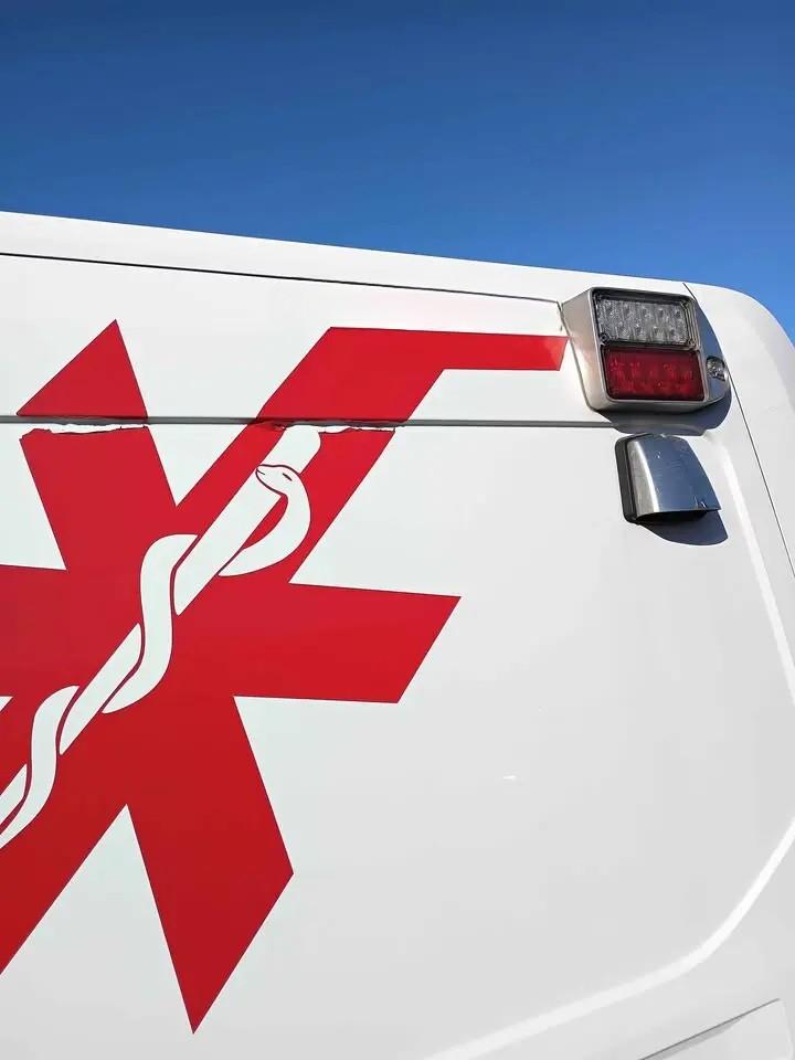2020 Ford Transit 250 cargo van Low Roof w/RWB Van 3D Type II - image 15