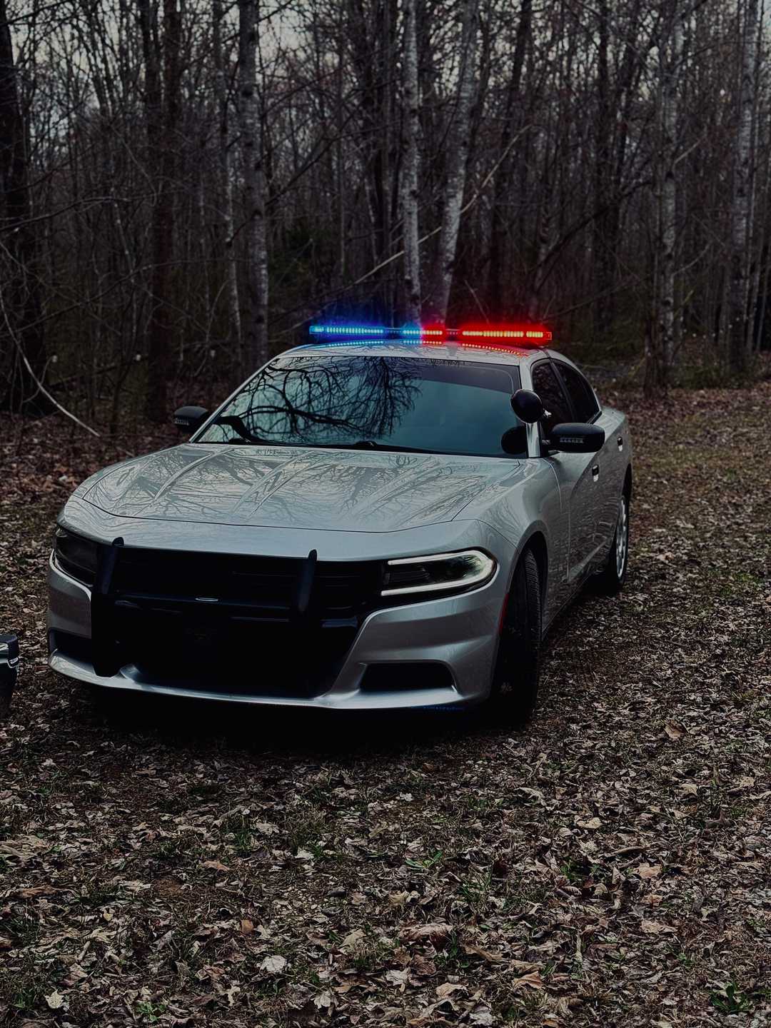 2019 Dodge Charger Pursuit