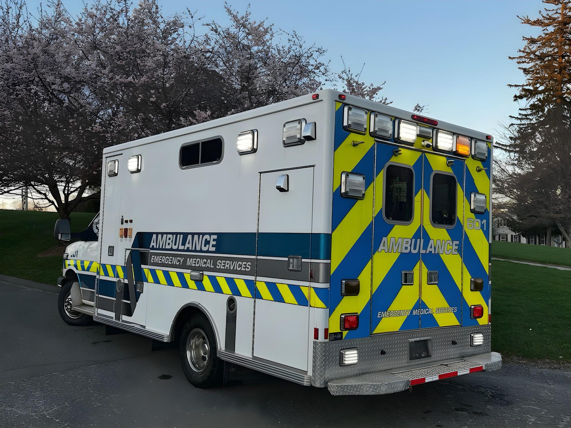 2012 LifeLine GMC Type III Ambulance - image 7