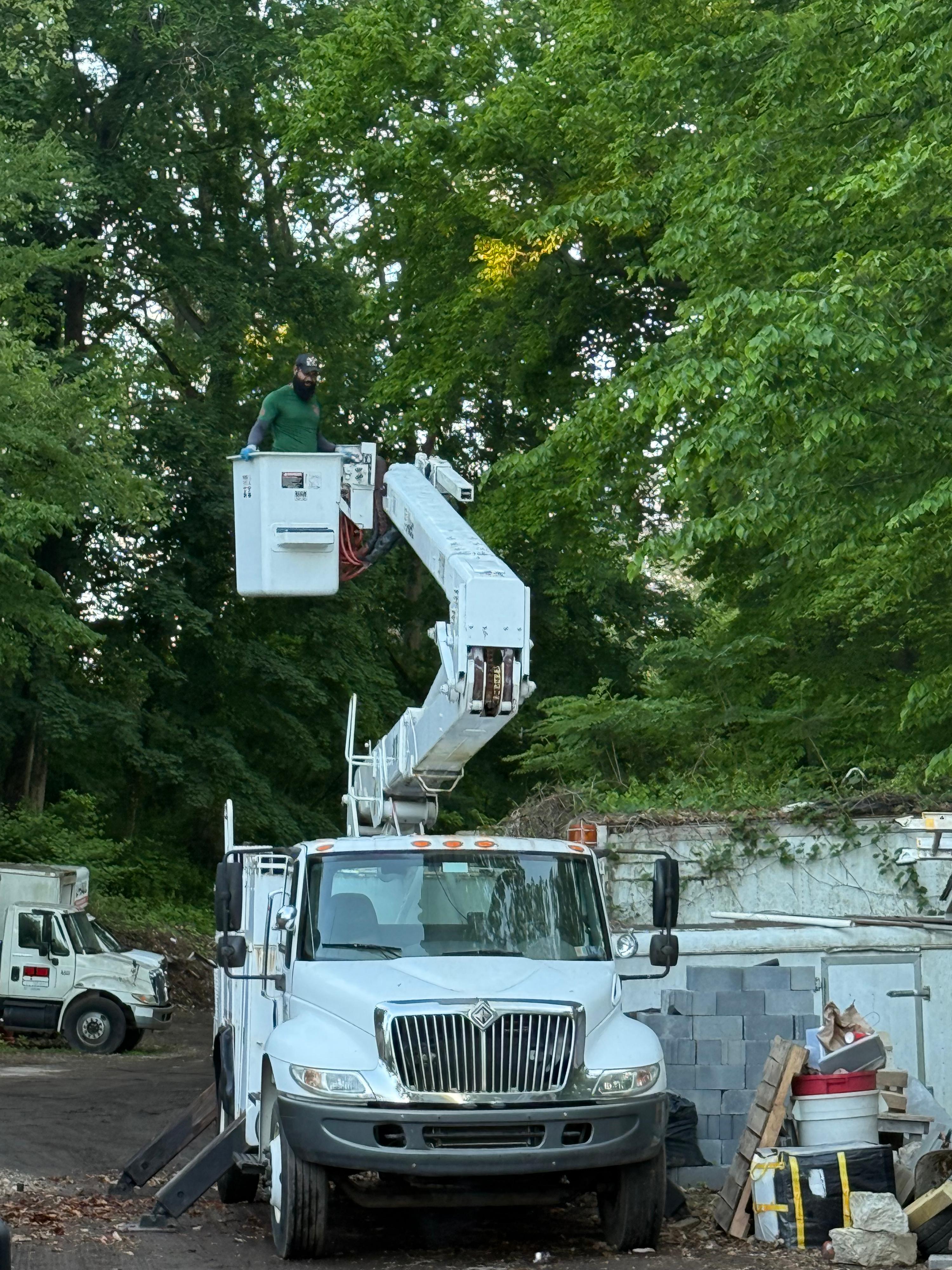 2002 International Bucket truck 47 working height - image 1