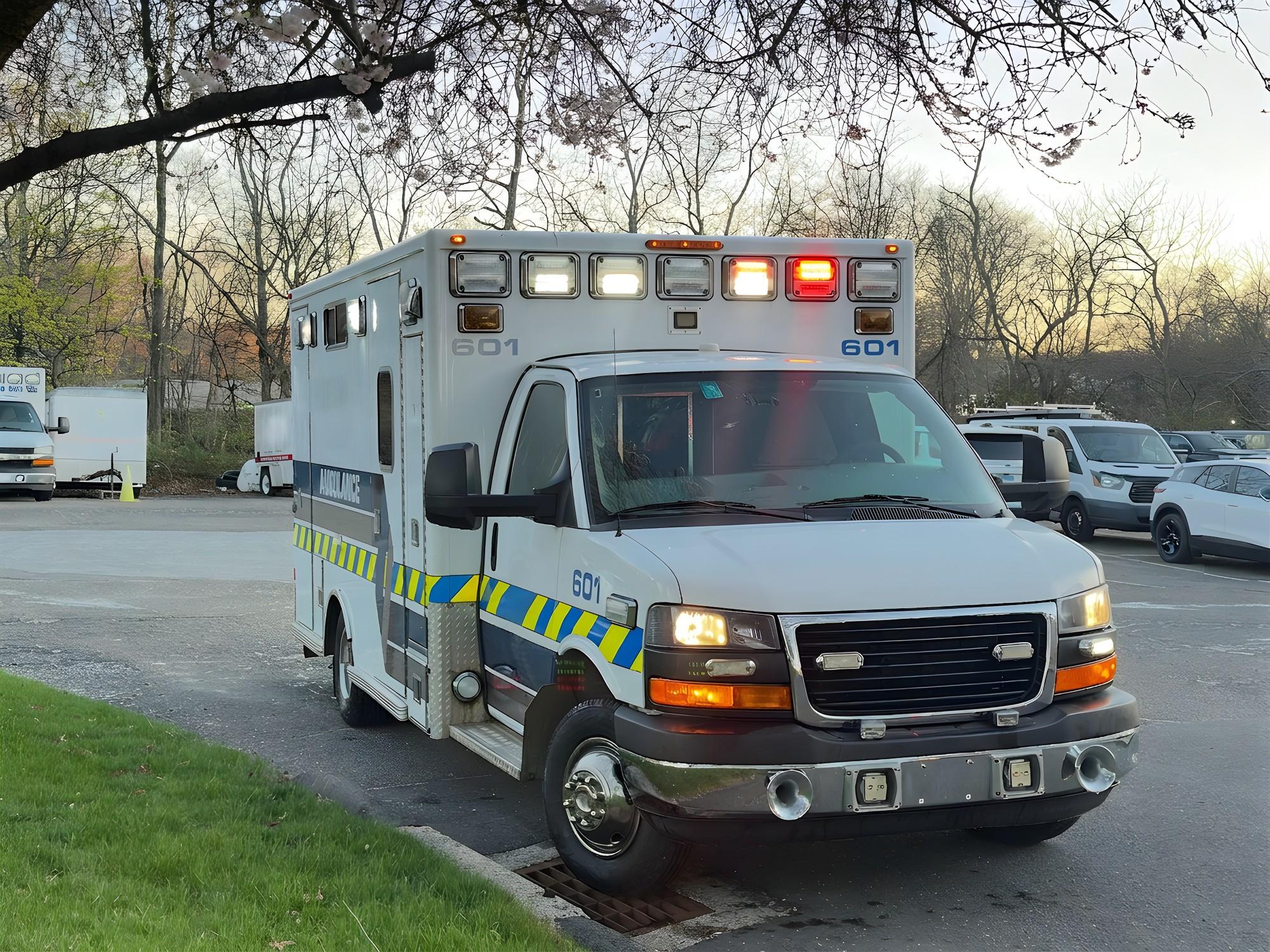 2012 LifeLine GMC Type III Ambulance - image 2